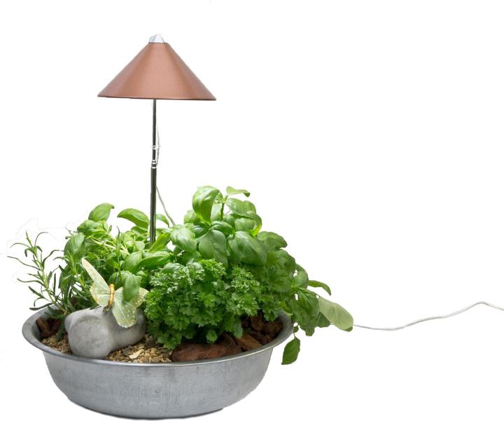 Productafbeelding Colibri Zonne (LED, 230 V)