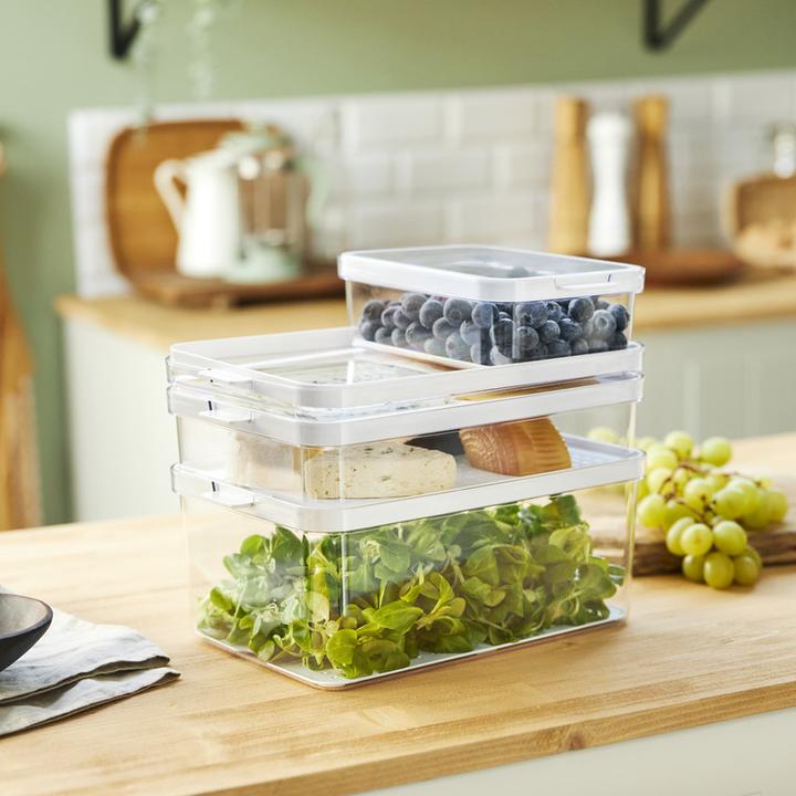 Actual product image Rotho Cauma fridge organiser