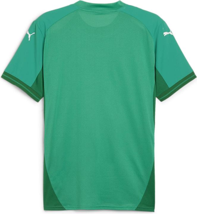 Actual product image Puma teamFINAL Jersey (XXL)
