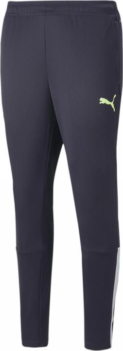 Actual product image Puma TeamLIGA track pants men (L)