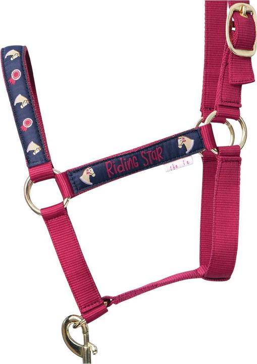 Immagine prodotto Hy Equestrian Riding Star Collection Cavezza e Guinzaglio per Cavallo