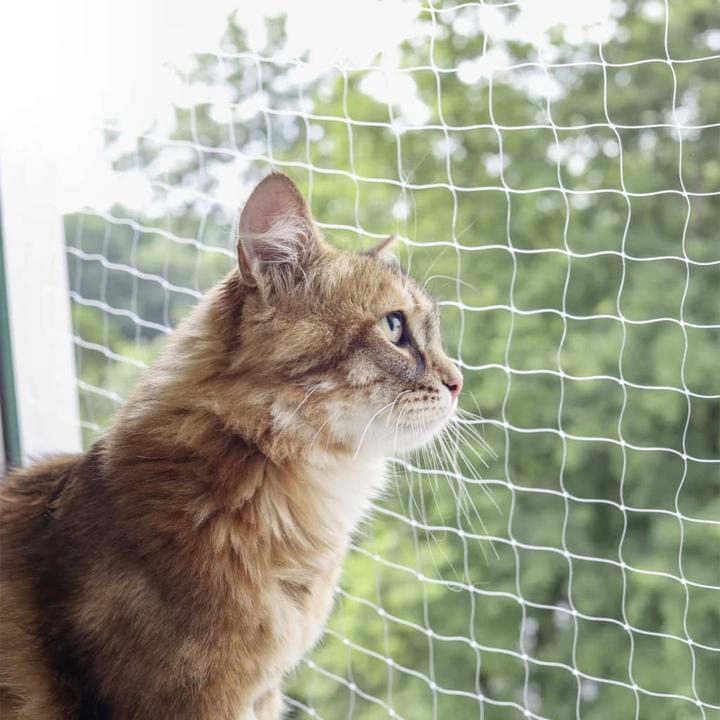 Produktbild Kerbl Katzenschutznetz