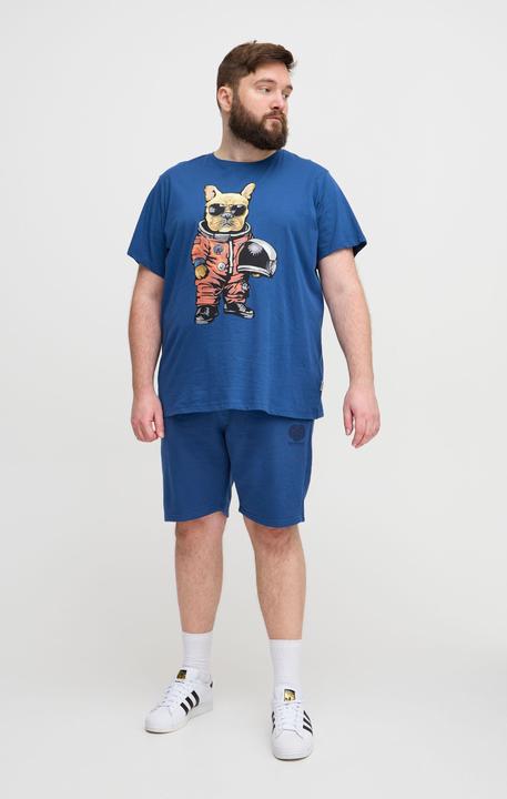 Actual product image Blend Shorts 20717085 BB (5XL)
