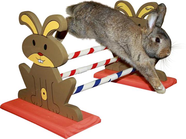 Actual product image Kerbl Rodent hurdle