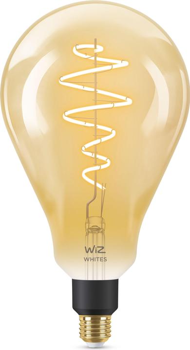 Vintage Filament (E27, 6.50 W, 390 lm, 1 x, E)