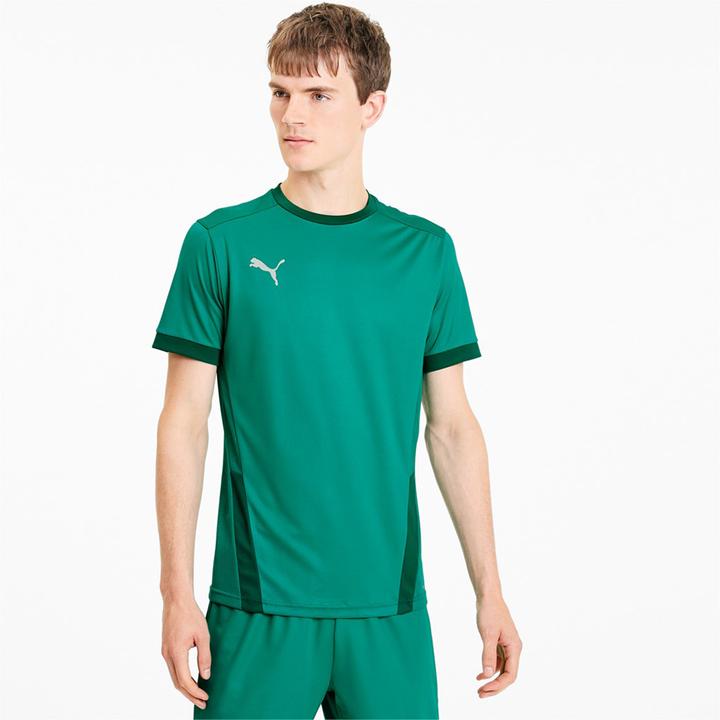 Actual product image Puma teamGOAL 23 Jersey-704171 (M)
