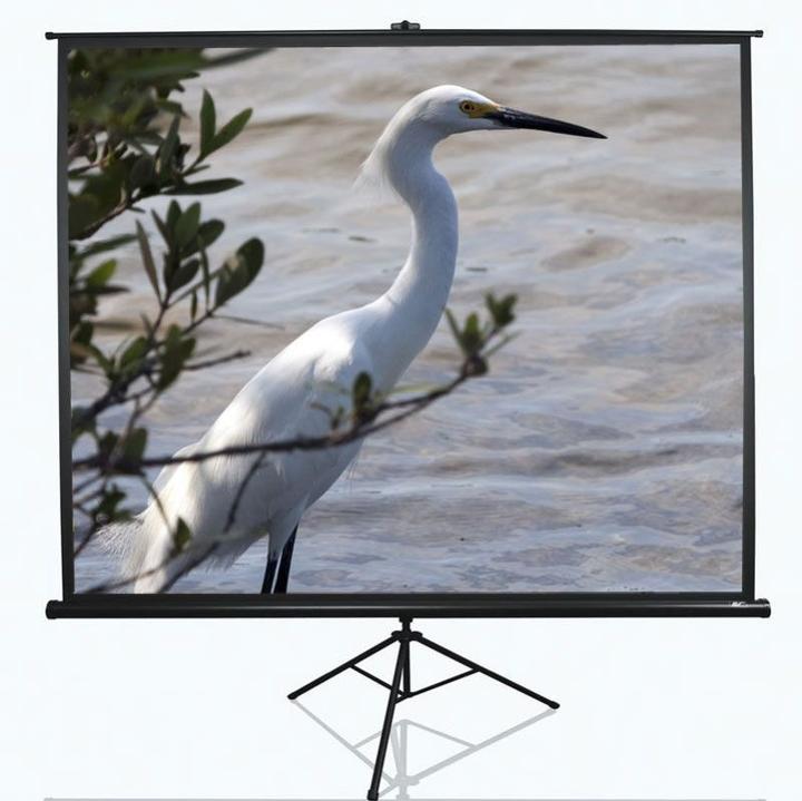 Immagine prodotto Elite Screens Tripod (120", 4:3)