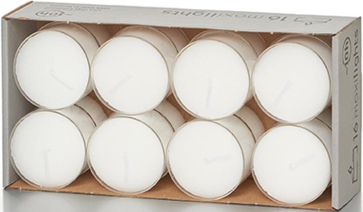Actual product image Balthasar Maxilights (16 pcs.)