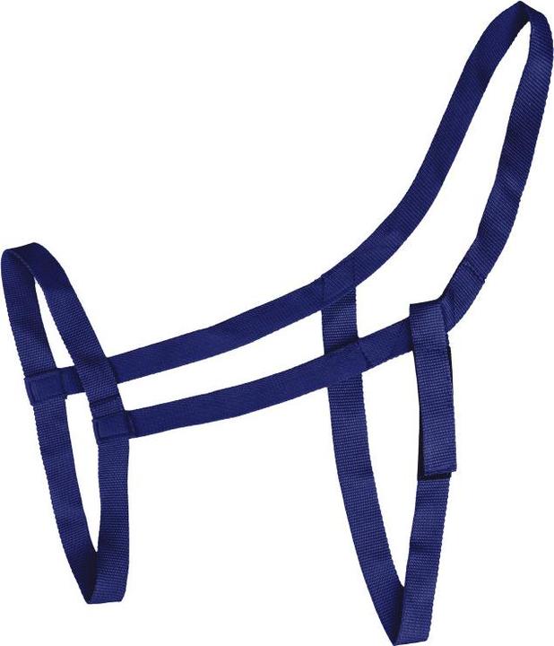 Image du produit Waldhausen Licol pour cob de prairie