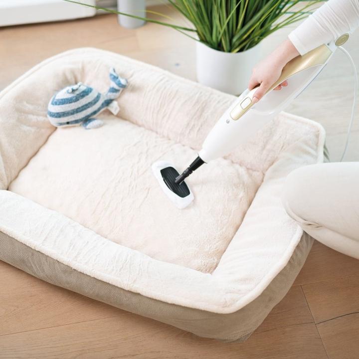 Produktbild Livington Prime Steam Scrubber (1300 W)