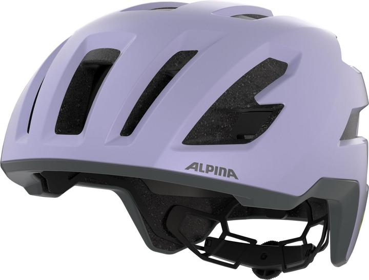 Image du produit ALPINA SPORTS Taunus Gravel Mips (55 - 59 cm)