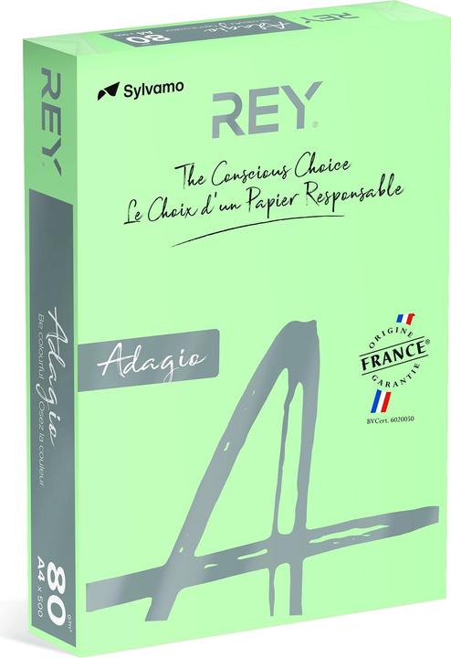 Produktbild Rey Adagio Farbiges Kopierpapier A4 80G 09 Pastellgrn*RYADA080X432 R200 (80 g/m², A4)