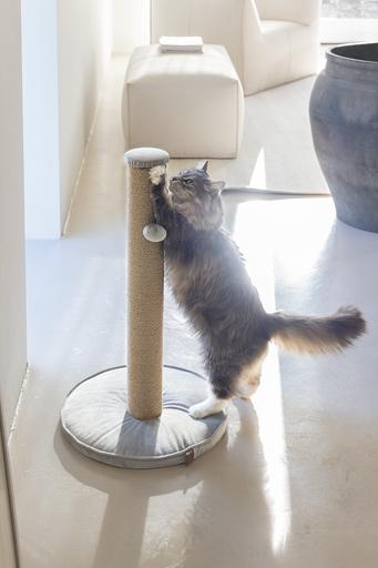 Actual product image Designed by Lotte Yenna (70 cm, Grey)