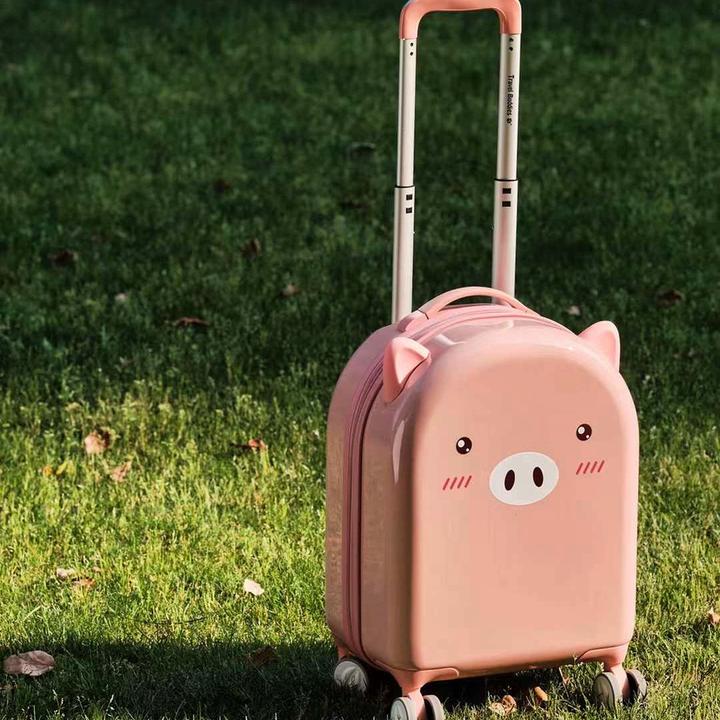 Actual product image Travel Buddies Cochon