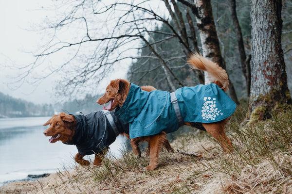 Image du produit Hurtta Monsoon Coat bilberry (65, Manteau pour chien)
