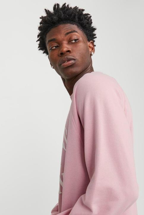 Produktbild Jack & Jones Gedruckt Sweatshirt mit Rundhals Sweatshirt mit Rundhals (S)