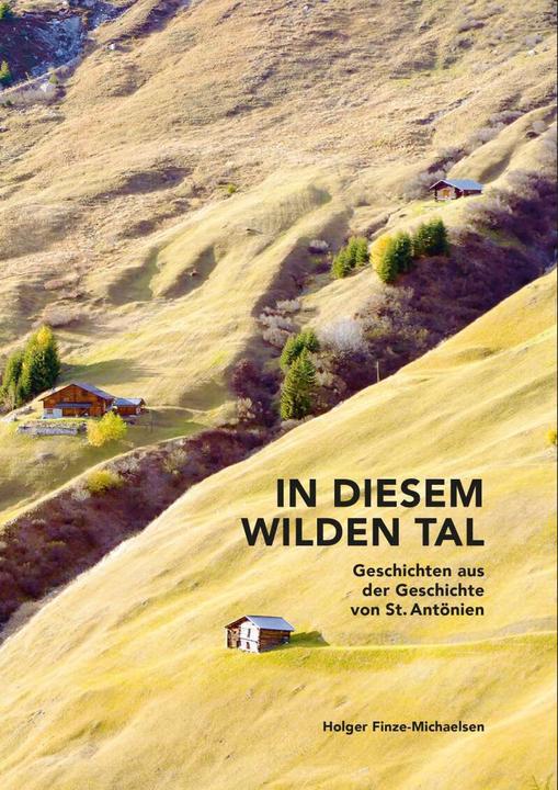 Produktbild In diesem wilden Tal (Deutsch, Holger Finze-Michaelsen, 2022)