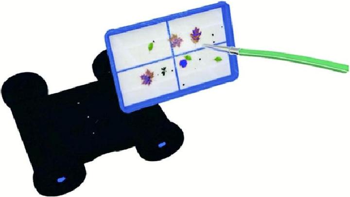 Produktbild Poolstar Coyote