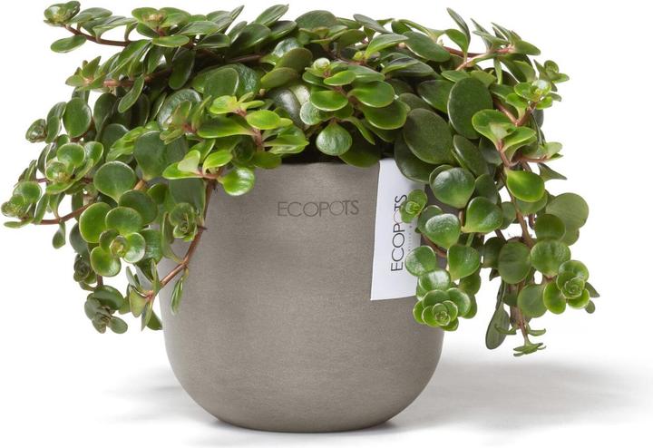 Image du produit Ecopots Oslo Mini (11.50 cm)