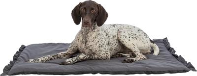 Actual product image Trixie Ligmat Amelie Donkergrijs - 70X50 Cm (Dog)