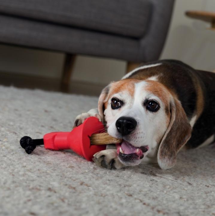 Produktbild Trixie Sichere Halterung Boneguard für Kauknochen (Hundespielzeug)