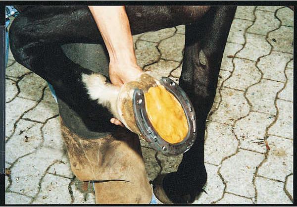 Actual product image Keralit Hoof-Elast