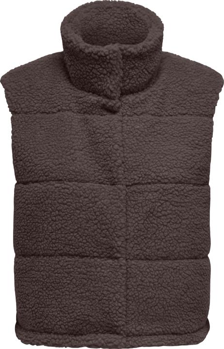 Seal Brown