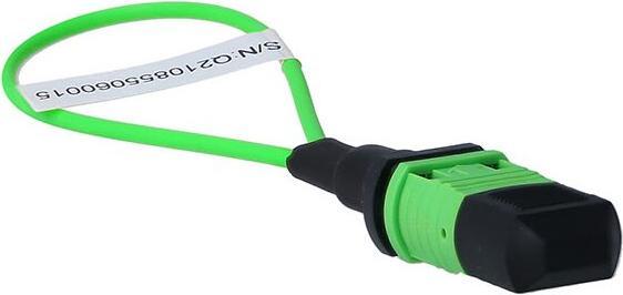 Produktbild BlueLAN BlueOptics Loopback Adapter MPO/MTP Multimode OM5