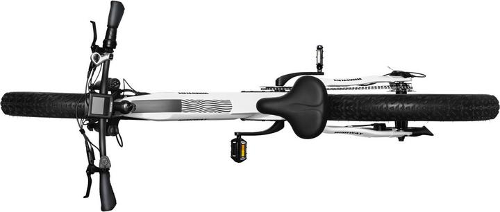 Actual product image Himiway Zebra