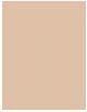 Actual product image L'Oréal Paris Infaillible 24H Fresh Wear (120 vanilla)