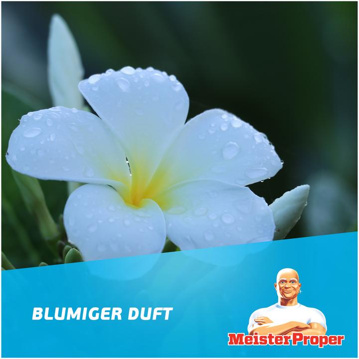 Image du produit Meister Proper Allzweckreiniger