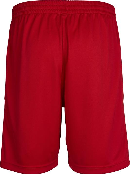 Actual product image hummel Core Poly Shorts (M)