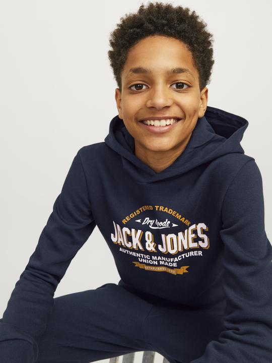 Actual product image Jack & Jones JJELOGO SWEAT HOOD 2 COL 24/25 NOOS JNR (128)