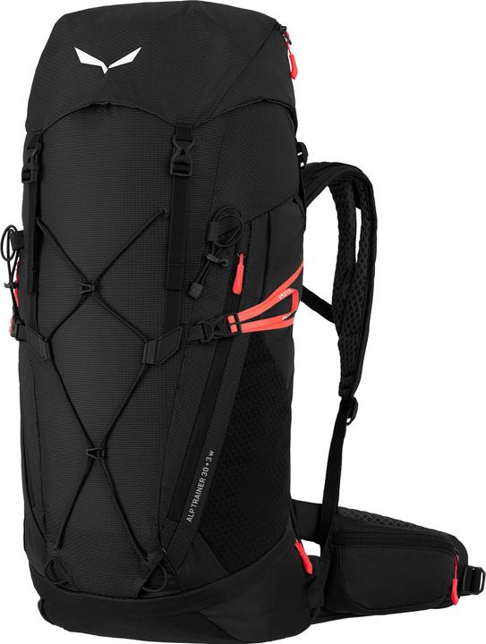 Actual product image Salewa Alp Trainer 30+3 Ws (30 l)