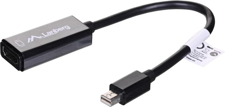 Actual product image Lanberg Mini DP zu (Mini DP, 20 cm)
