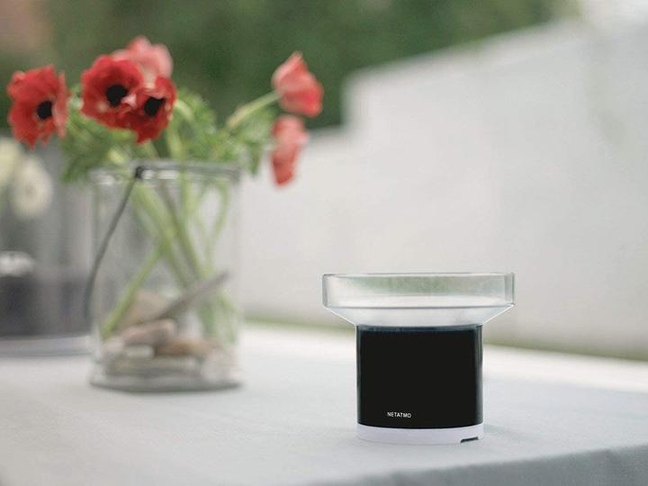 Immagine prodotto Netatmo Pluviometro Intelligente