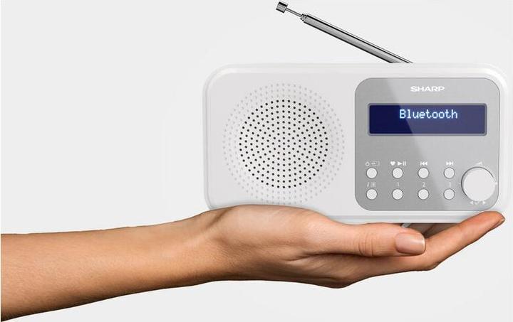 Productafbeelding Sharp DR-P420 (DAB+, FM, DAB, Bluetooth)