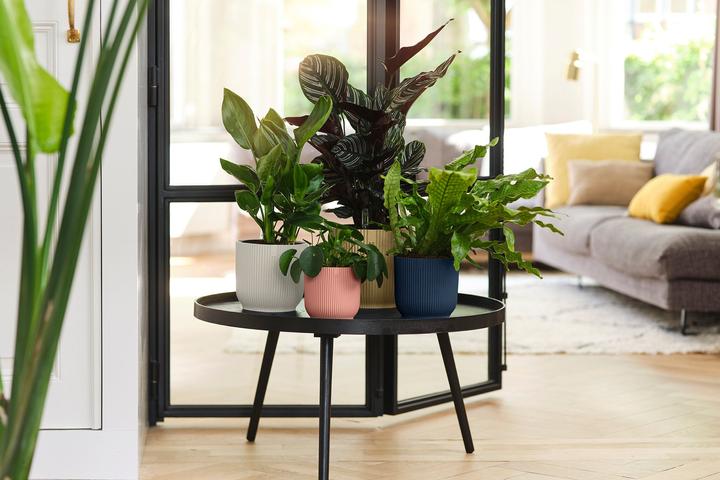 Actual product image Elho Vibes Fold (18 cm)