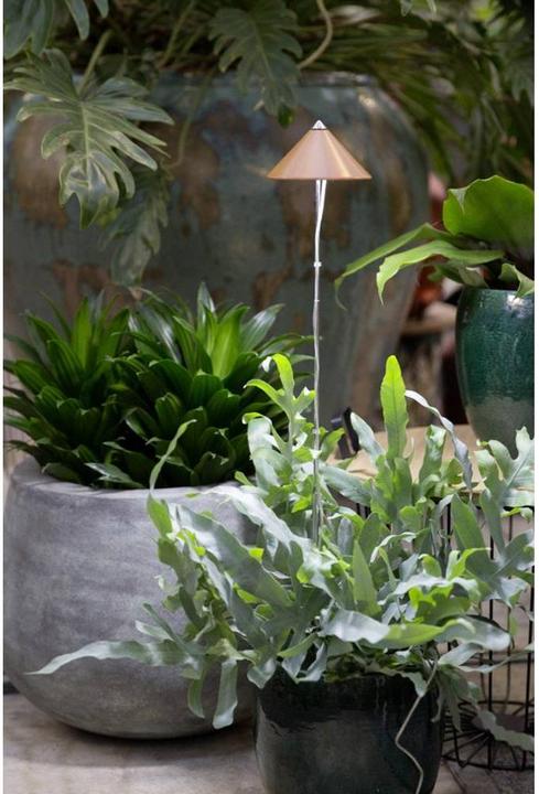 Productafbeelding Colibri Zonne (LED, 230 V)