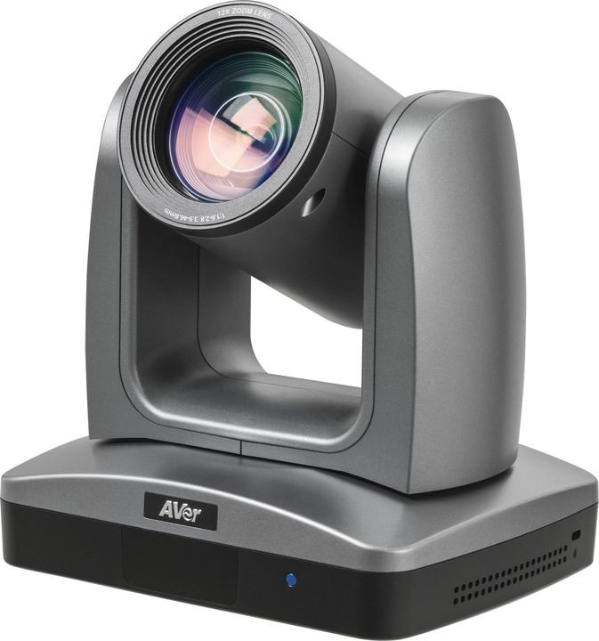 Image du produit AVer PTZ310 (gris foncé)