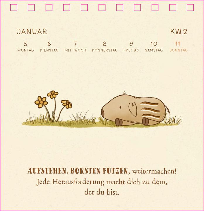 Actual product image Siefert:Mister O'Lui Tischkalender 2026 (German)
