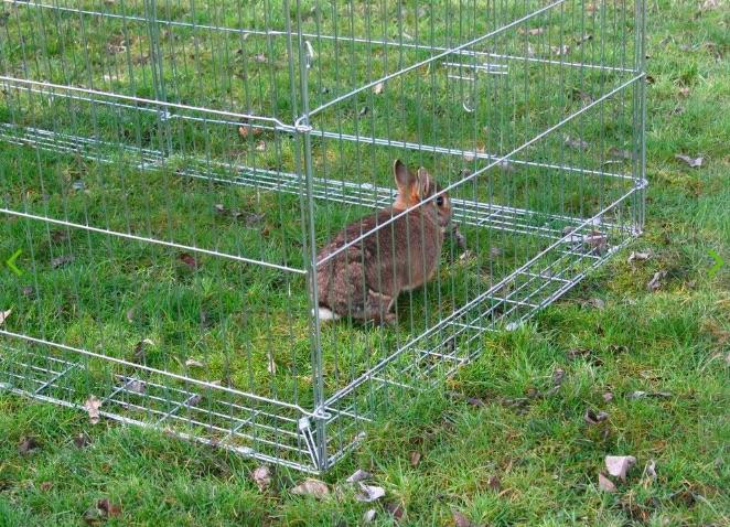 Produktbild Kerbl Ausbruchssperre zur Erweiterung Freilaufgehege 809983