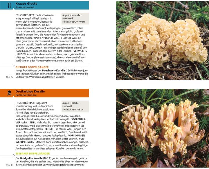 Produktbild Kosmos Essbare Pilze und ihre giftigen Doppelgänger (Deutsch, Andreas Gminder, Hans E. Laux, 2022)