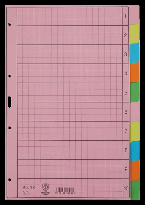 Actual product image Leitz Register Paper