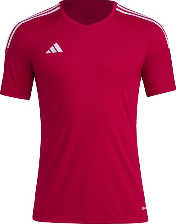 Actual product image adidas Tiro 23 Jersey Men (XS)