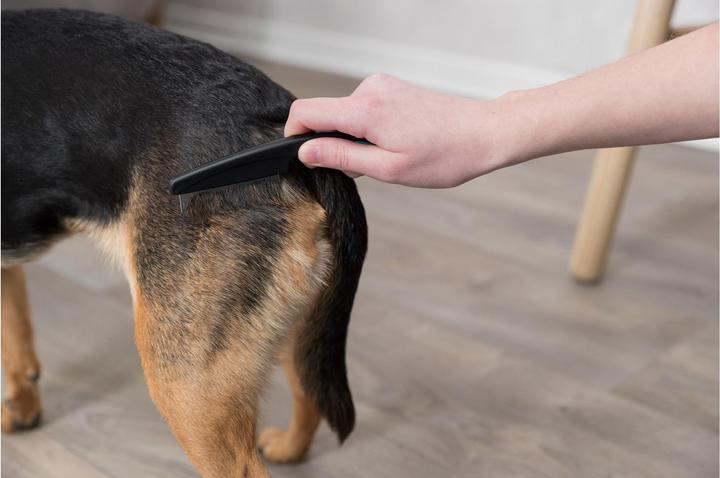 Produktbild Trixie Floh- und Staubkamm (Katze, Hund)