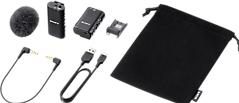 Actual product image Sony ECM-W2BT