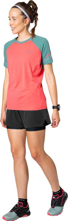 Produktbild Dynafit Alpine Pro T-Shirt (34)