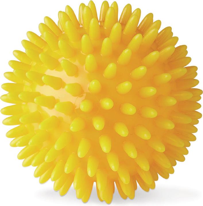 Immagine prodotto Vitility Massageball