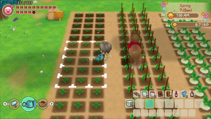 Produktbild Marvelous Story of Seasons : Friends of Mineral Town (Switch, FR)